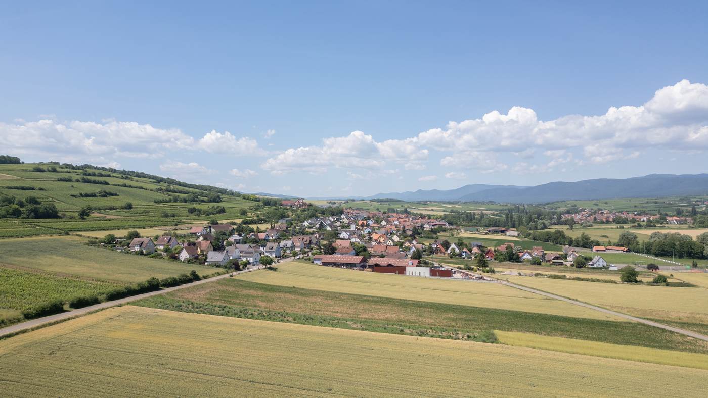 Dangolsheim, la plaine et la ligne des Vosges