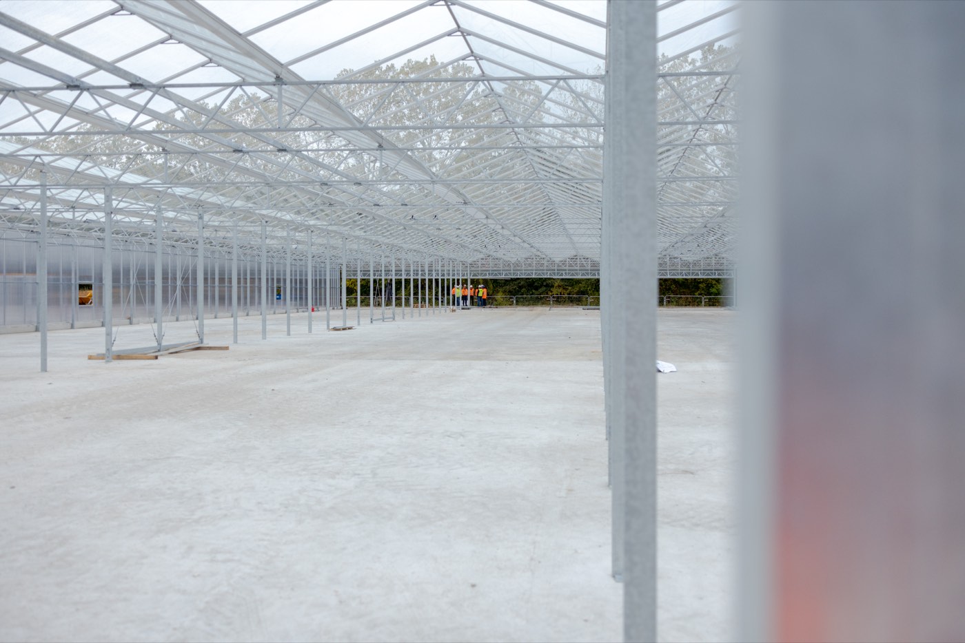 Intérieur d'une serre industrielle neuve avant mise en service